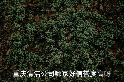 重慶清潔公司哪家好信譽度高呀