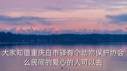 大家知道重慶白市驛有個動物保護協會么民間的愛心的人可以去