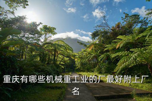 重慶有哪些機械重工業的廠最好附上廠名