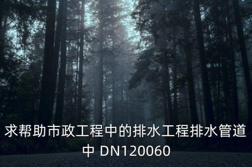 求幫助市政工程中的排水工程排水管道中 DN120060
