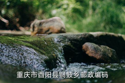 重慶市銅鼓鄉(xiāng)政府電話，無為縣人民鎮(zhèn)政府電話