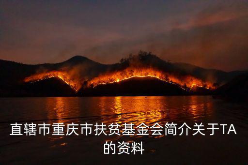 直轄市重慶市扶貧基金會(huì)簡(jiǎn)介關(guān)于TA的資料