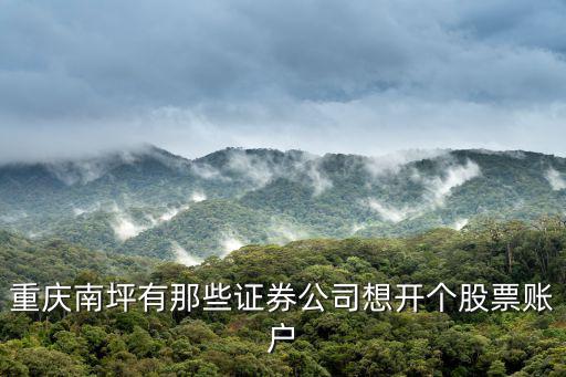 重慶南坪有那些證券公司想開個股票賬戶