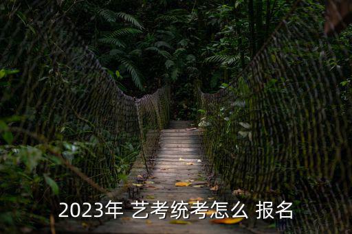 藝考報名,藝考-1/:報名條件/流程
