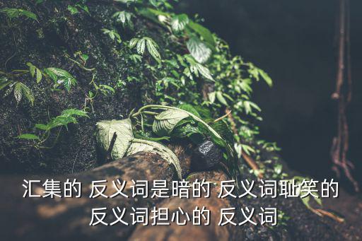 暗的反義詞,收斂是一個動詞，另一半卻是生死攸關