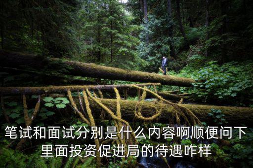 成都市經開區投資促進局，經投局全稱是什么