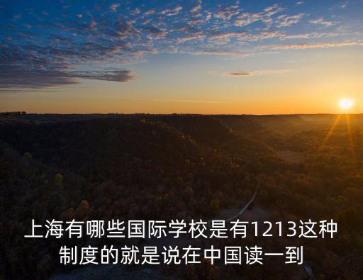 上海有哪些國際學校是有1213這種制度的就是說在中國讀一到