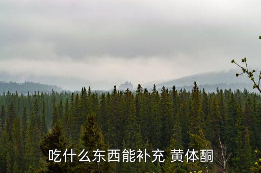 黃體酮食物,女性如何補(bǔ)黃體酮?
