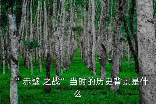 赤壁之戰真實歷史,赤壁之戰:三國鼎立時期的關鍵之一