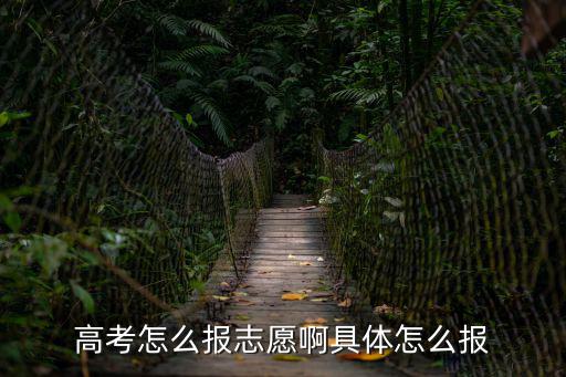 高考怎么報(bào)志愿啊具體怎么報(bào)