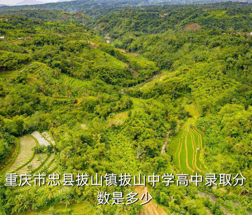 重慶市忠縣拔山中學近幾年錄取線，重慶市忠縣拔山中學2015中考錄取線是多少