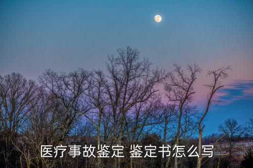 醫療事故鑒定 鑒定書怎么寫
