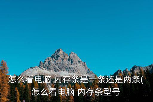 怎么看電腦 內(nèi)存條是一條還是兩條(怎么看電腦 內(nèi)存條型號