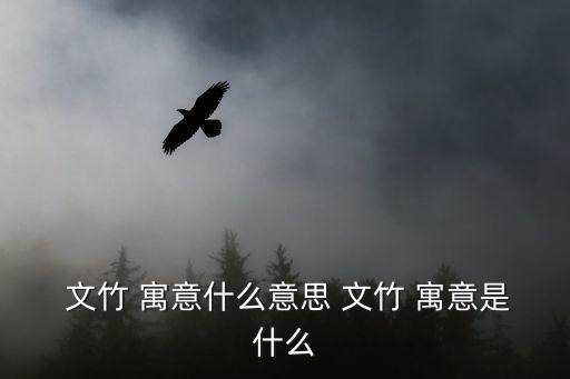 文竹的寓意,柔柔的竹子祝你們永遠幸福
