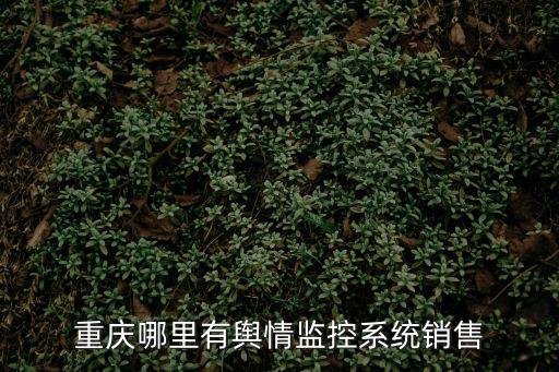 重慶哪里有輿情監控系統銷售