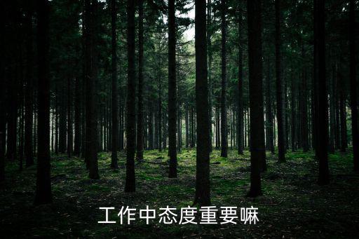工作中態度重要嘛