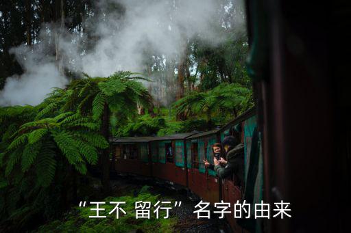 留行,唐·玄英書:十步殺一人行千里日:天下無敵