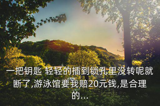 一把鑰匙 輕輕的插到鎖孔里沒轉(zhuǎn)呢就斷了,游泳館要我賠20元錢,是合理的...