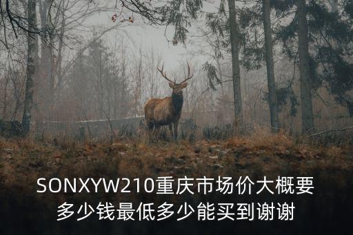 SONXYW210重慶市場價大概要多少錢最低多少能買到謝謝