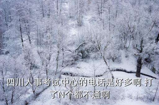 四川人事考試中心的電話是好多啊 打了N個(gè)都不通啊