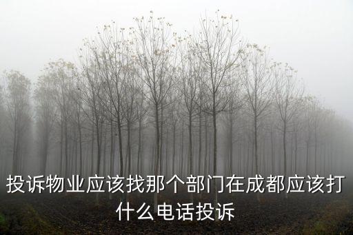 投訴物業應該找那個部門在成都應該打什么電話投訴