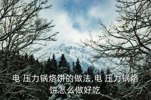 電壓力鍋食譜,電壓力鍋怎么做?