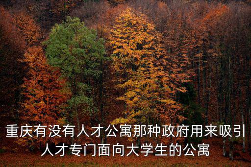 重慶有沒有人才公寓那種政府用來吸引人才專門面向大學生的公寓