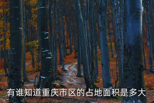 有誰知道重慶市區(qū)的占地面積是多大