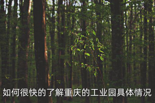 如何很快的了解重慶的工業園具體情況