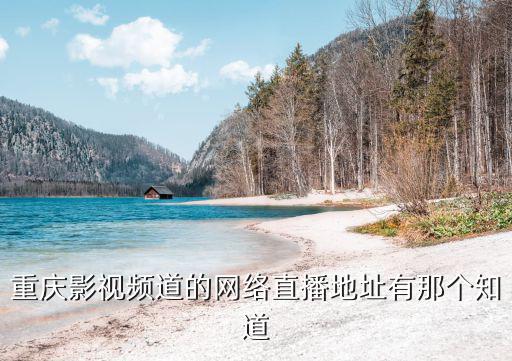 重慶影視頻道的網絡直播地址有那個知道