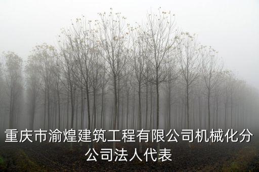 重慶市渝煌建筑工程有限公司機械化分公司法人代表