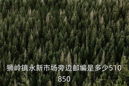 獅嶺鎮永新市場旁邊郵編是多少510850
