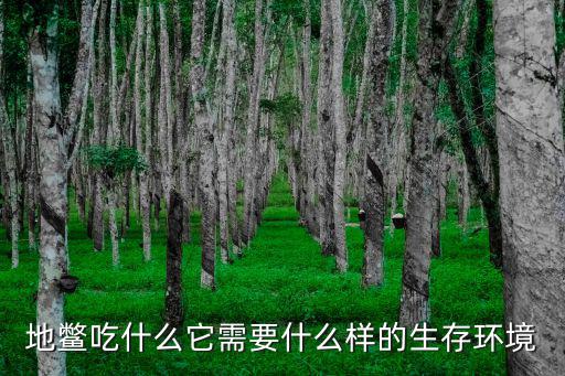 土鱉養殖,土鱉蟲在老式土房墻根土里活動價格不高