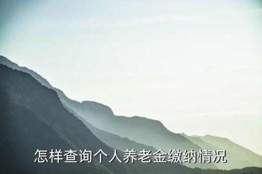 怎樣查詢個人養(yǎng)老金繳納情況