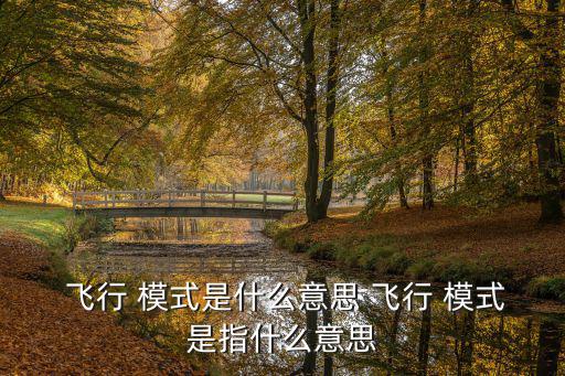 飛行 模式是什么意思 飛行 模式是指什么意思