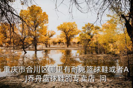 重慶市合川區(qū)有jk實(shí)體店嗎，重慶合川區(qū) 有鴻星爾克ERKE的店嗎