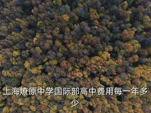 上海燎原中學國際部高中費用每一年多少