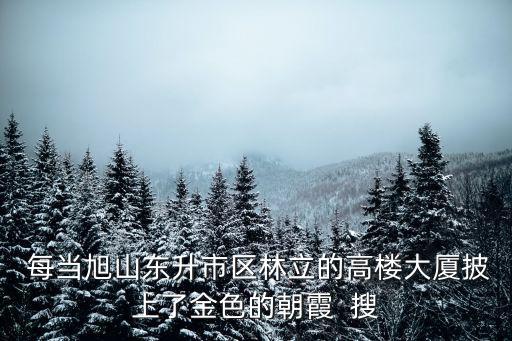  每當(dāng)旭山東升市區(qū)林立的高樓大廈披上了金色的朝霞  搜