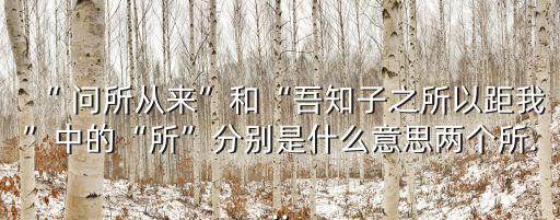 問所從來,所以是否是動詞?看看這里!
