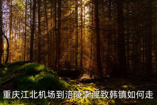 重慶市李渡區(qū)致韓，重慶江北機(jī)場到涪陵李渡致韓鎮(zhèn)如何走