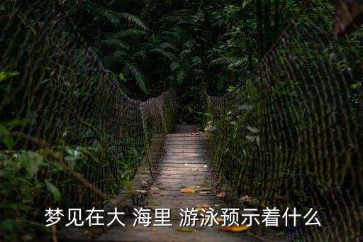 夢見在海里游泳,你做夢夢見游泳嗎?