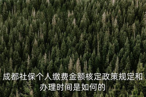 成都社保個人繳費金額核定政策規(guī)定和辦理時間是如何的