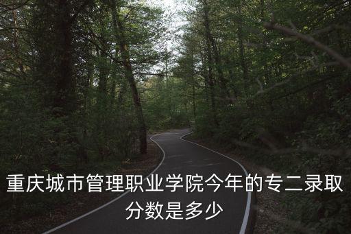 重慶城市管理職業(yè)學(xué)院今年的專二錄取分?jǐn)?shù)是多少