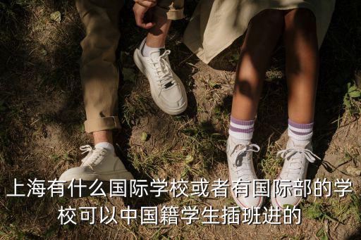 上海有什么國際學校或者有國際部的學校可以中國籍學生插班進的
