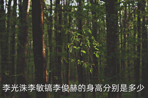 李光洙李敏鎬李俊赫的身高分別是多少