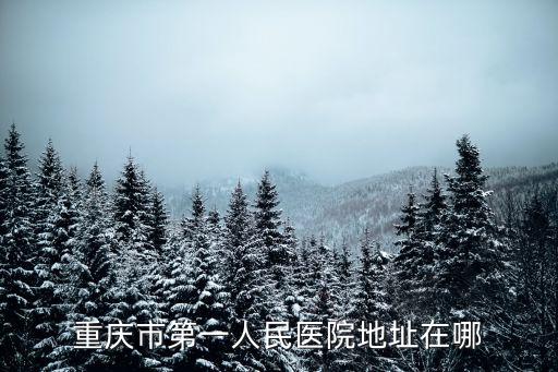 重慶市第一人民醫(yī)院地址在哪