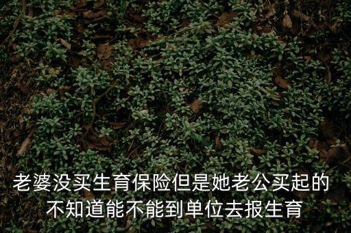 老婆沒買生育保險但是她老公買起的 不知道能不能到單位去報生育