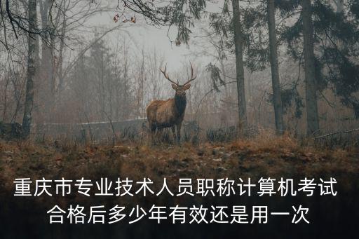 重慶市專業技術人員職稱計算機考試 合格后多少年有效還是用一次