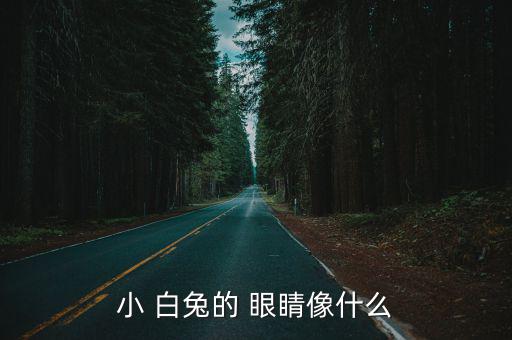 小白兔的眼睛,第二集:小白兔眼睛每一集都不同