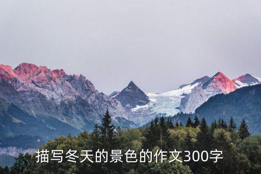 描寫冬天的景色的作文300字